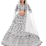 Embroidered Net Lehenga Choli