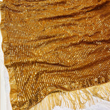 Hevy Georgette Sequance Saree