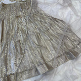 Lavish Soft Butterfly Net Lehenga