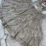 Lavish Soft Butterfly Net Lehenga