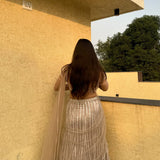 Lavish Soft Butterfly Net Lehenga