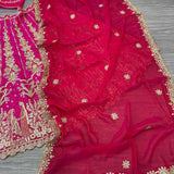 Lavish Pink Bridal Lehenga Choli