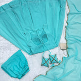 Lovable Georgette Anarkali Gown