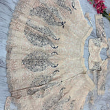 Lavish Peacock Soft Net Lehenga