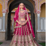 Lavish Butterfly Net Lehenga