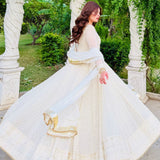 Lavish White Anarkali Gown