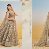 Narayani Designer Net Lehenga