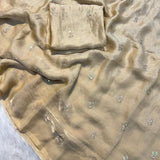 Beautiful Gendy Dual Shaded Saree