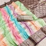 Multi Color Banarasi Silk Saree