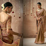 Premium Bridal Wedding Saree Collection