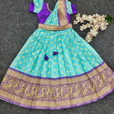 Kanjivaram Silk Kids Gown