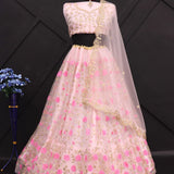 Butterfly Net Lehenga Choli