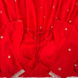Reddis Charm Georgette Anarkali Gown