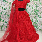 Red Flower Beautifull Lehenga