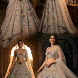 Exceptional Embroidered Net Lehenga
