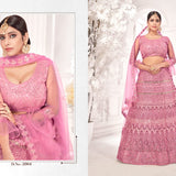 Bridal Net Lahengha Choli