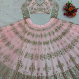 Peach Butter Fly Net Lehenga