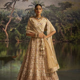 Grand Wedding Embroidered Lehenga Choli