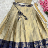 Exclusive Designer Kanjivaram Silk Lehenga