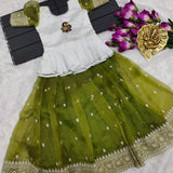 Kids Organza Silk Lehenga Choli