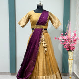 Traditional Organza Silk Pattu Silk Lehenga