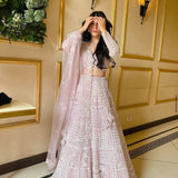 Celebrity Beautiful Net Lehenga Choli