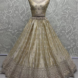 Designer Party wear Lehenga Choli