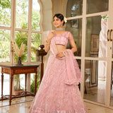 Baby Pink Sequins Embroidered Net Lehanga Choli