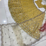 Presenting You Most Beautiful Most Awaited Latest Lehenga