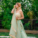 Partywear Banarasi Jacquard lahenga