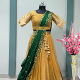 Traditional Organza Silk Pattu Silk Lehenga