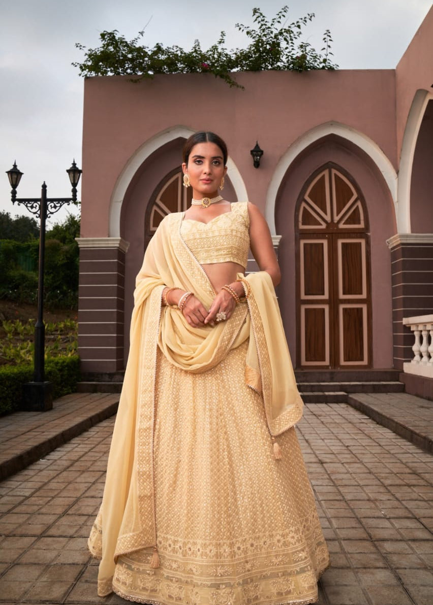 simple elegant Lehenga choli