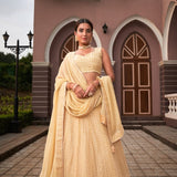 simple elegant Lehenga choli