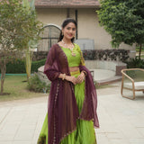 Traditional Shimmer Silk Weaving Lehenga