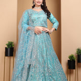 Criystal Heavy Zarkan Net Lehenga Choli