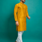 Royal Men's Kurta Collection