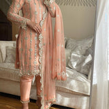 Designer Partywear Pakistani Suit