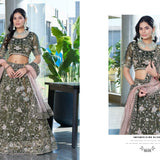 Premium Elegant Wedding Lehenga