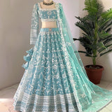 Beautifull Net Treditional Lehenga