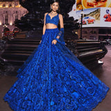 RoyalBlue Brid Lehenga Choli Collection