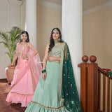 Premium Partywear Lahengha Choli