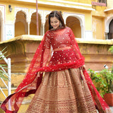 Maroon Bridal Embroidered Lehenga