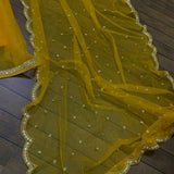 Haldi Special Lahenga Choli