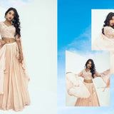 Stunning  Bridal Lahenga Choli