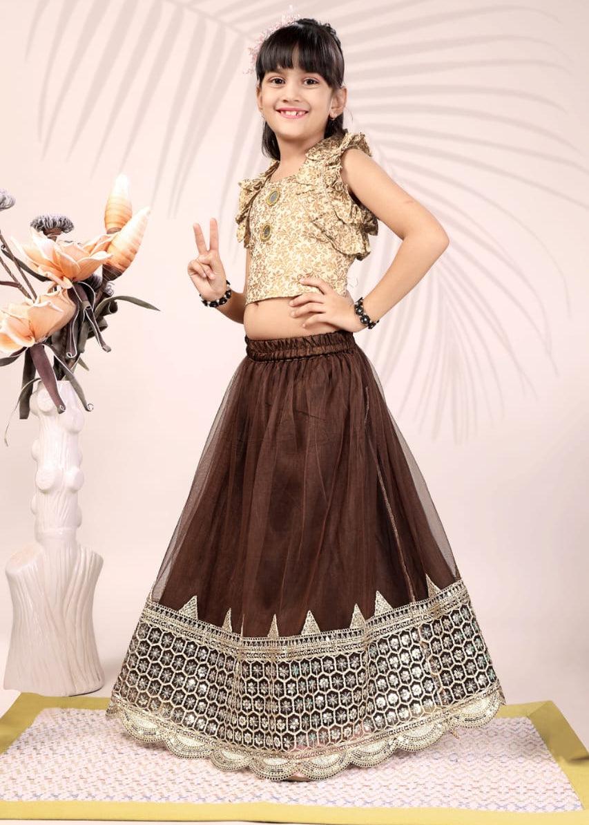 Attractive Kids Net Lehenga Choli