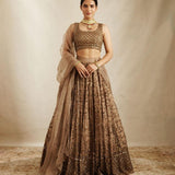 Presenting Latest Heavy Sequins Work Lehenga