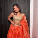 Heavy Organza Silk Lehenga