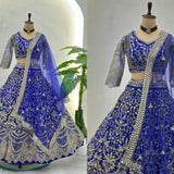 Ethnic Embroidered Net Lehenga