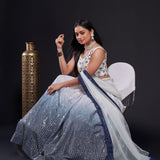 modern lehenga choli is the perfect blend of tradition with contemporary fashion