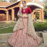 Premium Embroidered  Lehenga